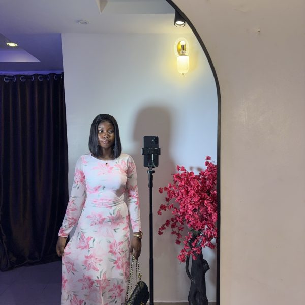 Snatch mesh long gown